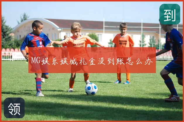 MG娱乐娱城礼金没到账怎么办
